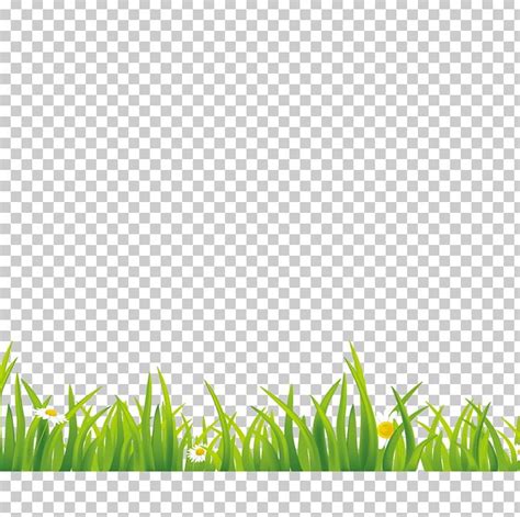 Green Gratis Euclidean Grass PNG, Clipart, 2d Computer Graphics, Angle ...