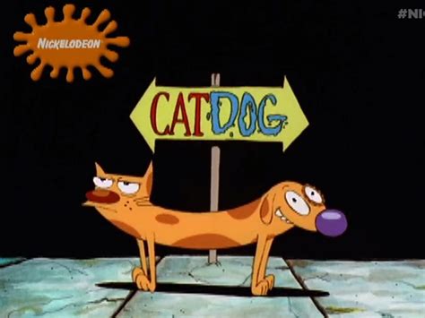 NickALive!: On This Day in 1998 | CatDog Premiered on Nickelodeon