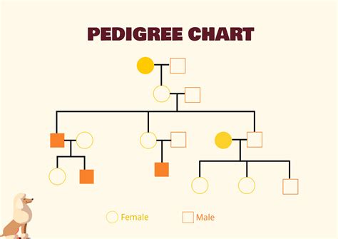 Dog Pedigree Chart - Illustrator, PDF | Template.net