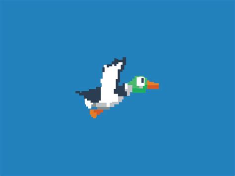 Damn Duck GIF by Dmitri Litvinov - Dribbble