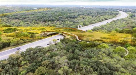 San Antonio Debuts Largest Wildlife Bridge In U.S.