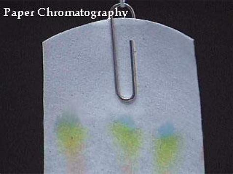 Paper Chromatography Experiment for kids