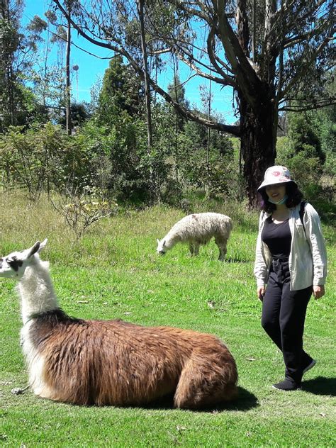 Best Things to Do in Quito | Unique Tours & Activities - Pichincha ...