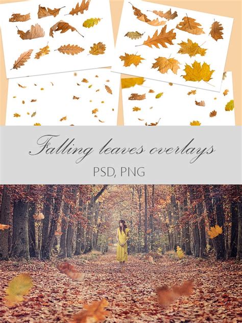 Falling Leaves Overlays, Digital Overlay, Autumn Overlays, Leaf Overlay ...