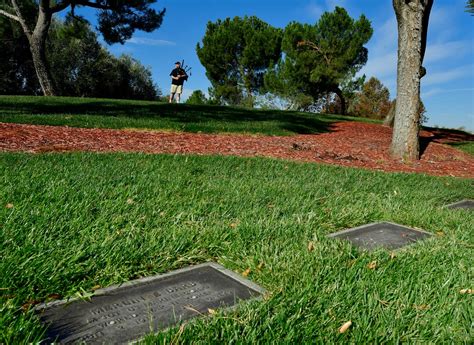 It was a different Veterans Day at Riverside National Cemetery – Daily ...