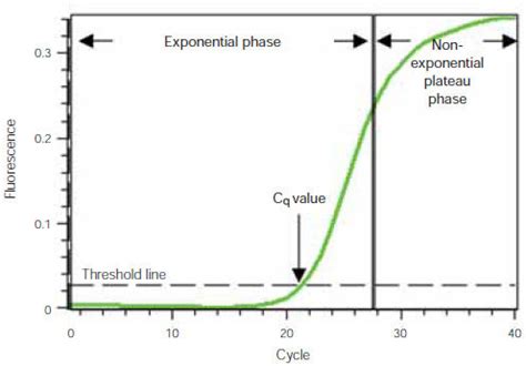 What is Real-Time PCR (qPCR)? | Bio-Rad