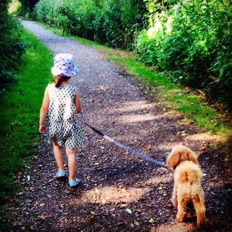 Child walking a dog | Children, Dogs, Style