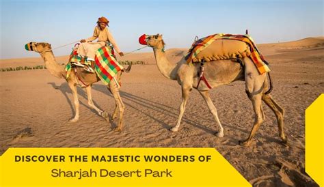 Explore Sharjah Desert Park Wonders