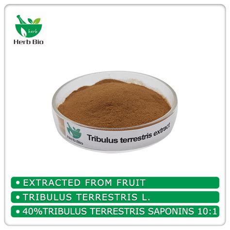 Tribulus terrestris extract - Herb bio (Herbal Extract Supplier )