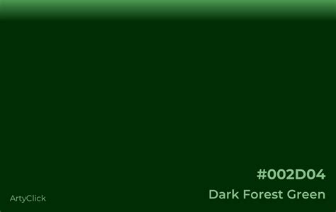 Dark Forest Green Color | ArtyClick