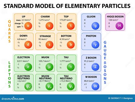 Standard Model Of Elementary Particles Stock Vector - Image: 36590417