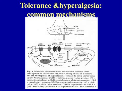 PPT - Opioid Induced Hyperalgesia PowerPoint Presentation, free ...