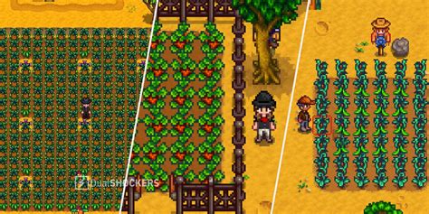 Stardew Valley: Best Crops For Each Season