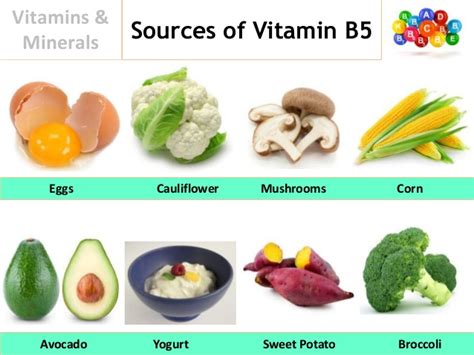 What is Pantothenic Acid and Biotin? Deficiency, Benefits & Foods Sources