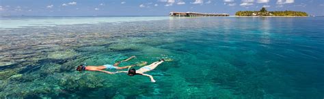 Snorkeling in Maldives: Best Locations & Hot Spots