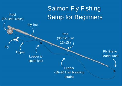 How to Go Fly Fishing for Salmon: The Complete Guide for 2024