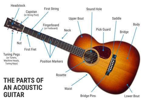 The Parts of an Acoustic Guitar - Sound Pure