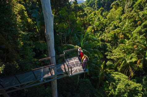 Tamborine Rainforest Skywalk - Scenic Rim