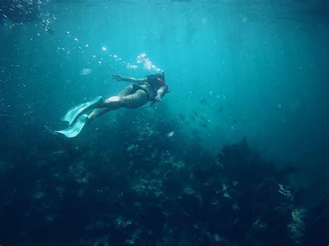 Snorkeling in the Keys – 3 MUST SEE Places - Key West Boat Trips