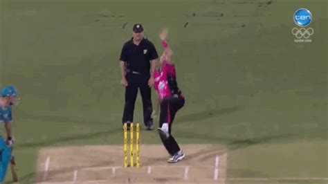 Cricket GIF - Find & Share on GIPHY