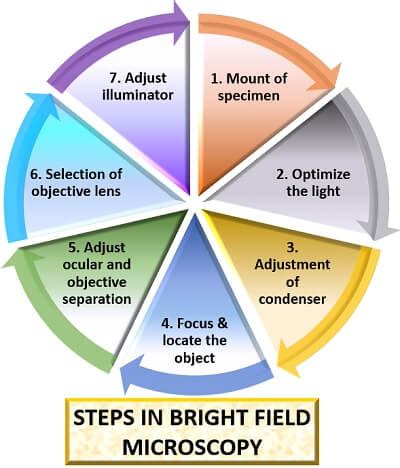 What is Bright Field Microscopy? Definition, Steps & Working - Biology ...