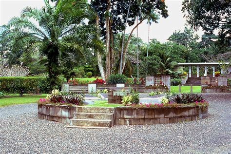 Papua New Guinea 1974: Lae, War Cemetery and orchids