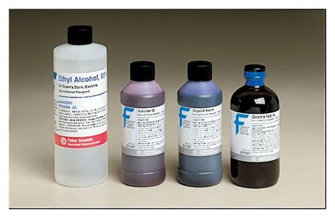 Fisher Science Education Gram Stain Kit 4 x 250mL bottles:Biochemical ...