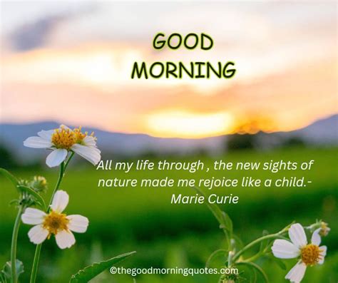 54+ Beautiful Good Morning Nature Quotes - Good Morning Quotes