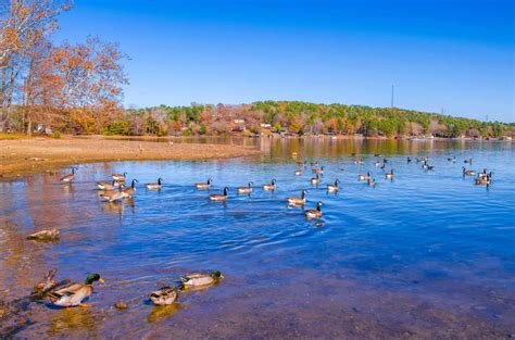 Lake Catherine State Park Visitor's Guide: Essential Tips