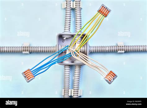 Home junction box wiring with three groups of wires, connected with ...