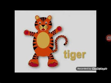 Baby Einstein Tiger Sound Effect - YouTube