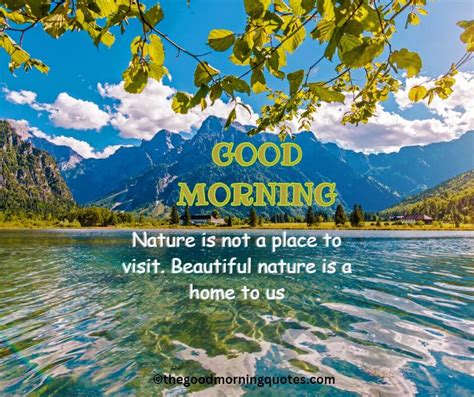 54+ Beautiful Good Morning Nature Quotes - Good Morning Quotes