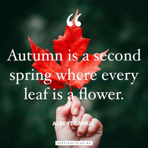 Fall Quotes and Sayings for Autumn | Keep Inspiring Me