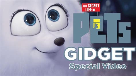 The secret life of pets movie gidget - naastorage