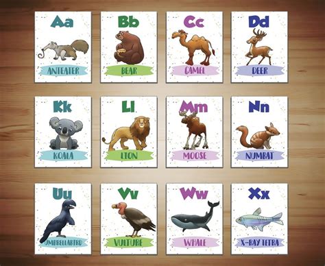 Animal Alphabet Flashcards - Tom Hyde