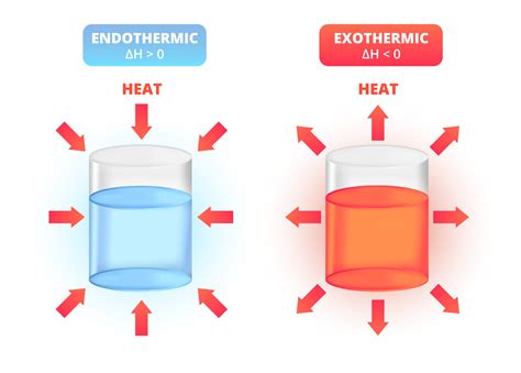 Endothermic And Exothermic Reaction Examples