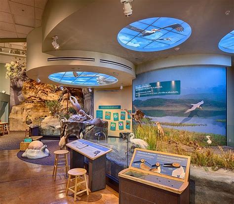 San Diego Natural History Museum Opens 'Coast to Cactus' Exhibit ...