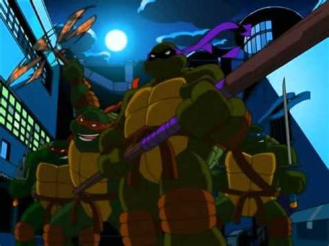 TMNT 2003 Series was the best T.V. series : TMNT