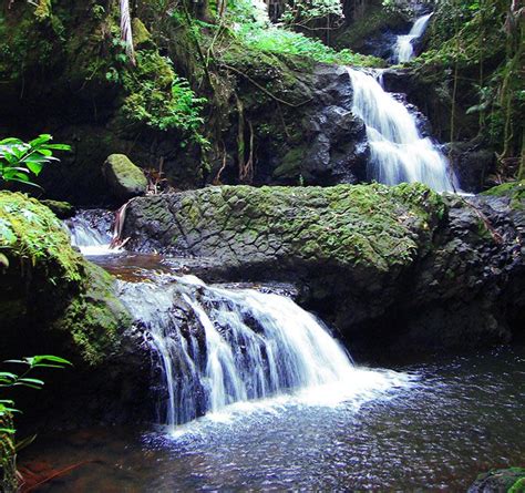 Hamakua Coast Road Trip to Honokaa | Hawaii.com | Waterfall, Shore ...