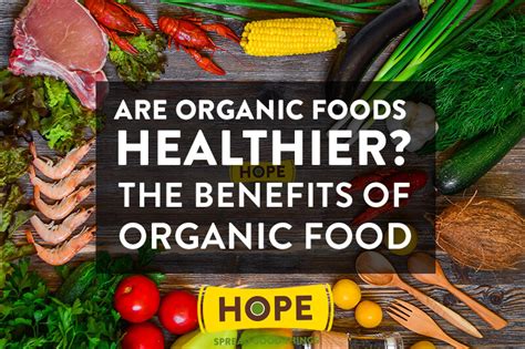 The Benefits of Organic Food: Are Organic Foods Healthier?