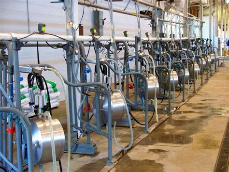 milking-equipment-another-copy - WDSL - Dairy supplies and equipment in ...