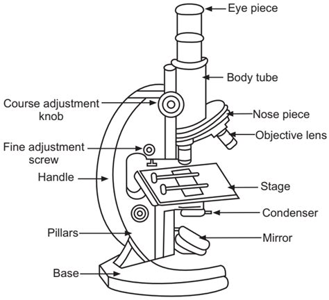 Microscope, Biology notes, Biology lessons