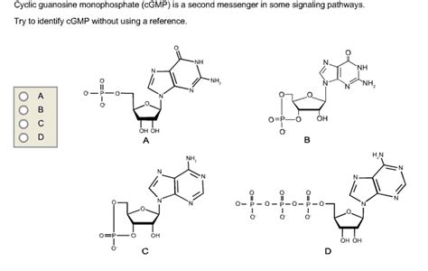 OneClass: Cyclic guanosine monophosphate (cGMP) is a second messenger ...