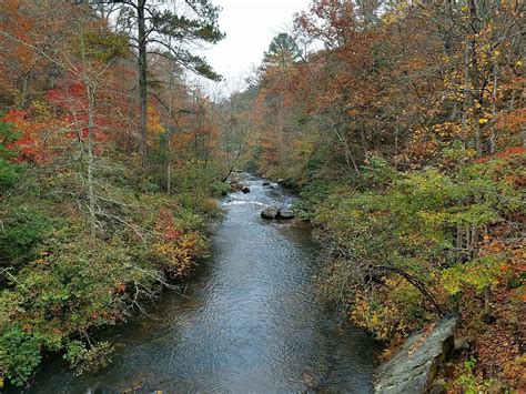 Little River Canyon National Preserve today... photo from Vickie Reeves ...