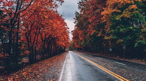 1920x1080 Autumn Road Trees On Sides Fallen Leaves Laptop Full HD 1080P ...