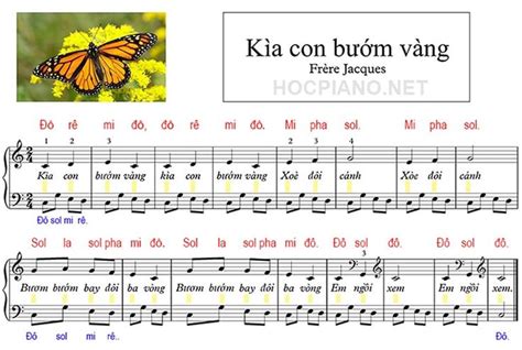 Kìa con bướm vàng Piano đô rê mi | Sheet music, Piano, Songs