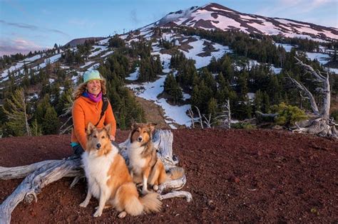 Training Truffle Hunting Dogs | The Source Weekly - Bend, Oregon