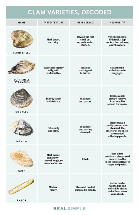 6 Types of Clams and How They Are Best Served | Clam recipes, Clams ...