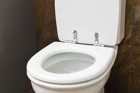 5 Common Low Flow Toilet Problems and How to Fix Them