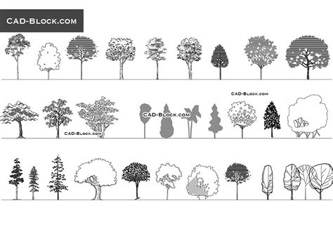 Deciduous trees